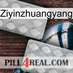 Ziyinzhuangyang 17